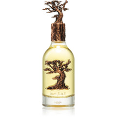 Eternal Oud - Lattafa Pride - Eau De Parfum Mixte 100ml image 2